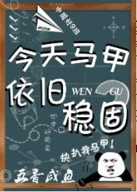 今天馬甲依舊穩固