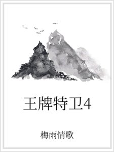 王牌特衞4