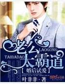 婚后试爱:老公太霸道