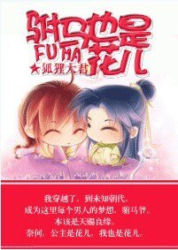 駙馬也是花兒GL