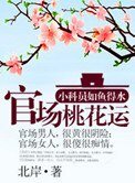 官道之步步高昇