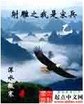 (射鵰同人)射鵰之我是宋兵乙
