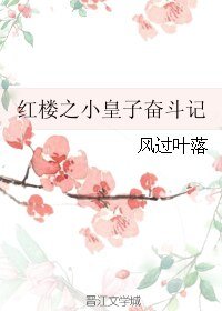(紅樓同人)紅樓之小皇子奮鬥記