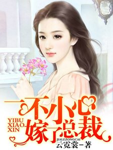 一不小心嫁了總裁/總裁的專寵棄婦/豪門太太不好當