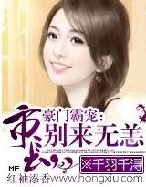 市長,別來無恙(高幹寵文)