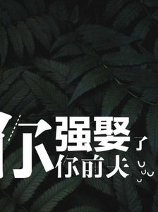 你強娶了你前夫