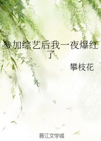 參加綜藝後我一夜爆紅了