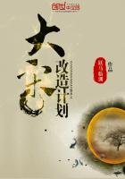 大宋改造計劃