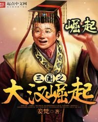 三國之大漢崛起