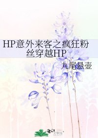 HP意外來客之瘋狂粉絲穿越HP