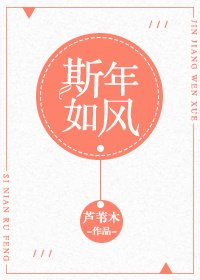 斯年如風