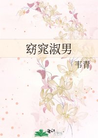 窈窕淑男