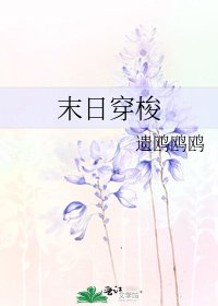 末应穿梭