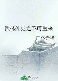 武林外史之不可重來