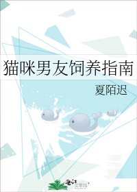 貓咪男友飼養指南