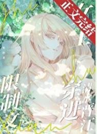 限制文女主穿烃清韧晉江