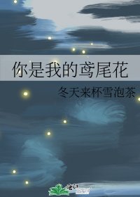 你是我的鳶尾花