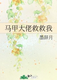 馬甲大佬救救我